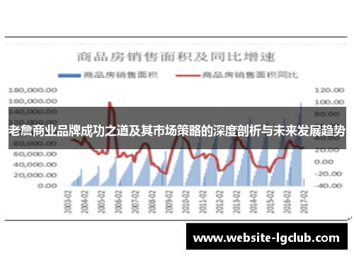 老詹商业品牌成功之道及其市场策略的深度剖析与未来发展趋势