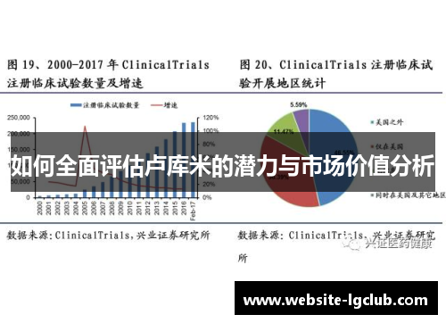 如何全面评估卢库米的潜力与市场价值分析