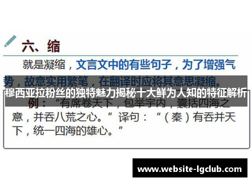 穆西亚拉粉丝的独特魅力揭秘十大鲜为人知的特征解析