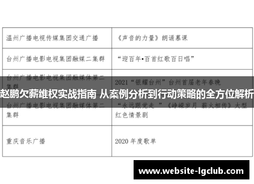 赵鹏欠薪维权实战指南 从案例分析到行动策略的全方位解析