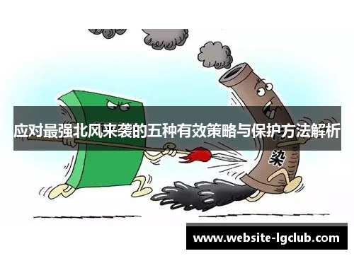 应对最强北风来袭的五种有效策略与保护方法解析