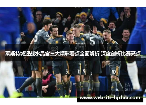 莱斯特城迎战水晶宫三大精彩看点全面解析 深度剖析比赛亮点