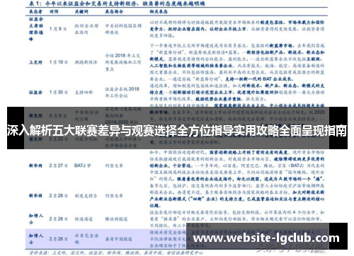 深入解析五大联赛差异与观赛选择全方位指导实用攻略全面呈现指南 深入解析五大联赛差异与观赛选择全方位指导实用攻略全面呈现指南