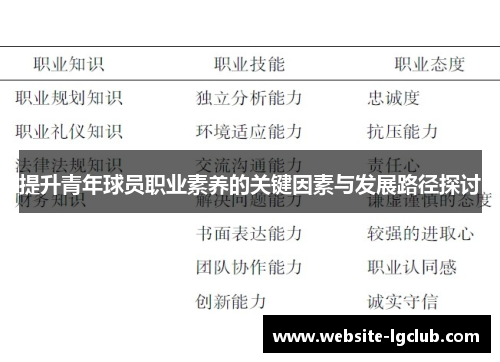 提升青年球员职业素养的关键因素与发展路径探讨