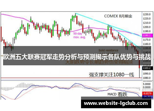 欧洲五大联赛冠军走势分析与预测揭示各队优势与挑战