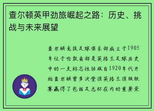 查尔顿英甲劲旅崛起之路:历史、挑战与未来展望 查尔顿英甲劲旅崛起之路:历史、挑战与未来展望